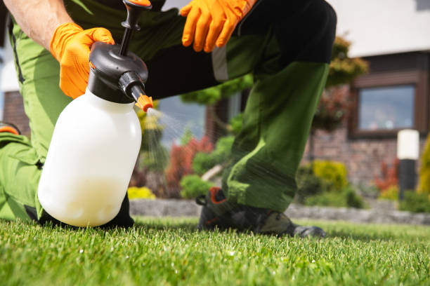 Trusted Cayuga, IN Pest Control Experts