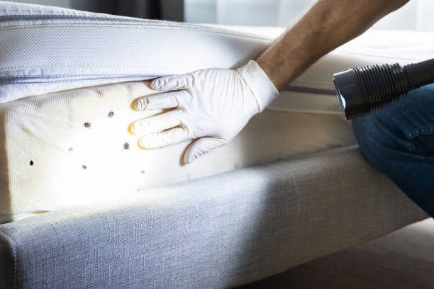 Best Pest Inspection Near Me  in Cayuga, IN