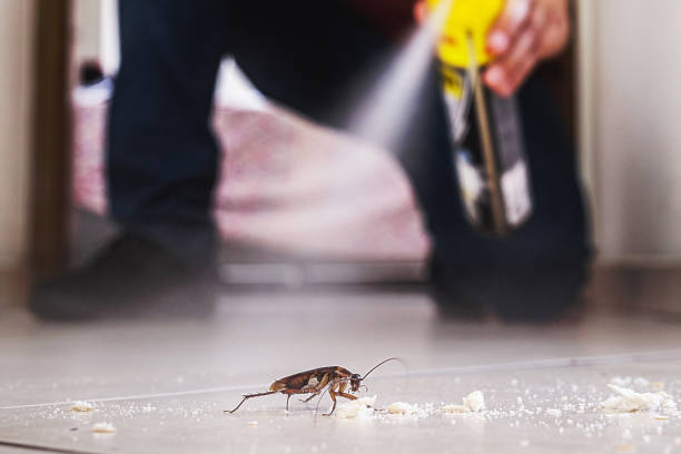 Best Cockroach Control Services  in Cayuga, IN