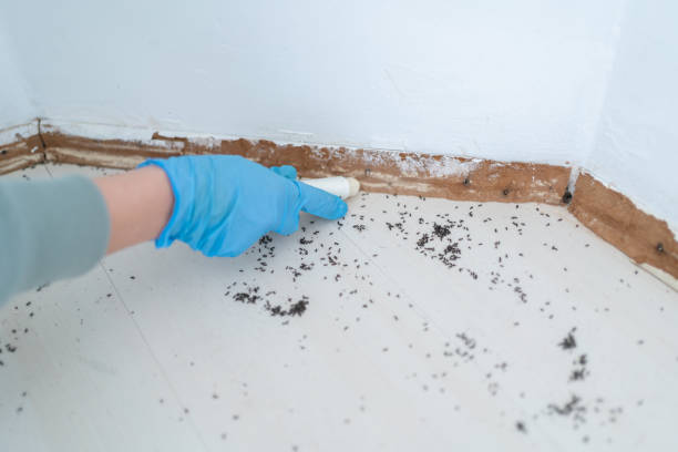 Pest Prevention Services in Cayuga, IN